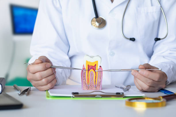 Best Emergency Dental Extractions in Coplay, PA